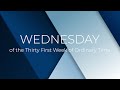 Holy Mass of Wednesday of the Thirty First Week of Ordinary Time | 06 November 2024