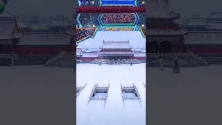 一下雪，故宫就变成了紫禁城…#2023年第一场雪 #故宫的红墙白雪是一眼万年 #北京初雪