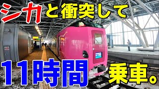 【乗車時間11時間！】急遽の代走で運用されたキハ261系はまなす編成の特急サロベツと特急宗谷は、シカとの熾烈な戦いでした。【2022-2023年越し北海道旅6】