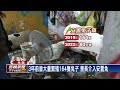 飼主為了養牠們賣血！　「恐怖兔窩」從2隻兔繁殖到80多隻兔－民視新聞