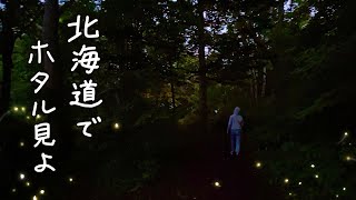 【札幌】西岡公園でホタル鑑賞