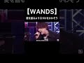 wands【愛を語るより口づけをかわそう】 wands 上杉昇 上原大史 ジグザグ