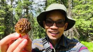 เก็บเห็ดมอเรลครั้งแรกของปี 2023 morel mushrooms |เก็บเห็ดที่อเมริกา|ชีวิตในอเมริกา🇺🇸