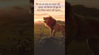 lion quotes in hindi || motivational lion status || #shortvideo #motivational #explore