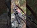 What’s your favorite tree stand hunting rifle? (Marlin 336 30-30 Lever Action)