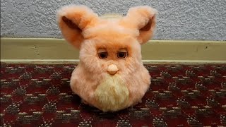 Tropical Mango Furby 2005 - 2005 Emoto-tronic Furby