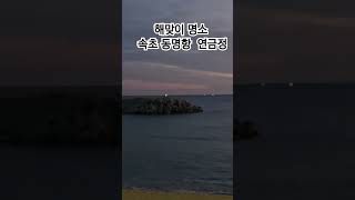 속초 동명항 #연금정 #선율하나 #속초통기타 듀오#속초버스킹