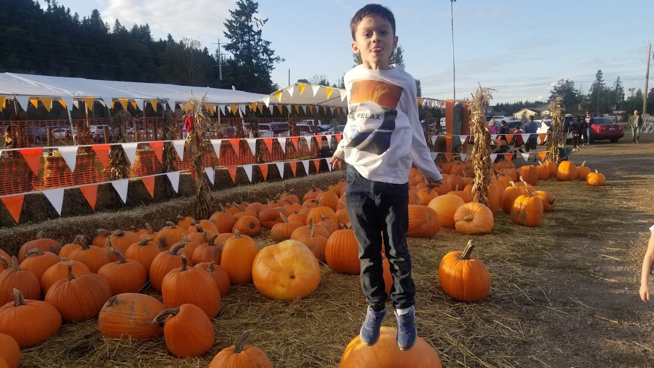 Pumpkin Patch Vlog Youtube