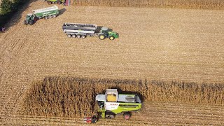 CLAAS Lexion TT, AMAZING tractors / Corn harvest 2020 GRUPPO PEA