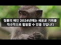 🤑’3가지 띠’ 2024년에 로또 1등 당첨된다.😱 │띠별운세│로또│로또1등│개운법│로또당첨│대운│당첨│복권│재물복