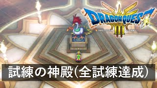 【ドラクエ3リメイク】クリア後(ネタバレあり) 試練の神殿(5つの試練クリアまで) ストーリー攻略【難易度いばらの道だぜ】