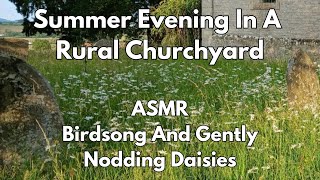 ASMR Relaxation.  Nature's Beauty: Wild Flowers Blooming in a Peaceful Churchyard With Nature Sounds