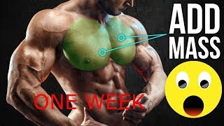 The Best Chest Workout | Blow Up Your Chest in 2019