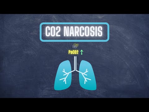 What causes high carbon dioxide levels?