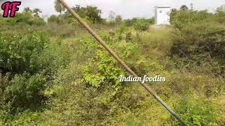 Anavardikhanpettai railway station to Chitteri railway station