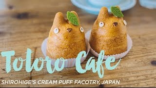 Totoro Cream Puff Cafe in Tokyo Japan (Shirohige's Cream Puff Shop)