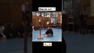 Japanese sword katana|wielding technique