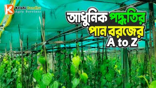 আধুনিক পার বরজের সকল তথ্য দেখুন এই ভিডিওতে | শেডনেট ব্যবহারে পার বরজের উপকারীতা | শেডনেট এর পান বরজ