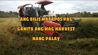 harvest nang palay ang bilis matapos ka pag ganito ang gamit