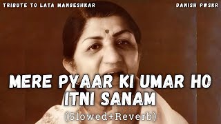 Tribute To Lata Mangeshkar - Mere Pyaar Ki Umar Ho Itni Sanam [Slowed + Reverb] | Old is Gold #peace
