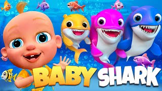 Baby Shark Sign Language Underwater Adventure 🌊🎶 and more! | Fun Kids Songs Compilation [HD]