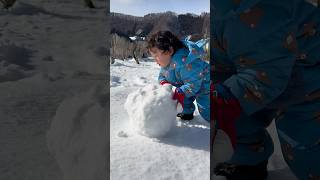 お庭全体が真っ白なキャンバスだ🎨☃️