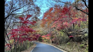 Driving down Piagol Valley, Jirisan National Park, South Korea in Autumn [4K UHD]