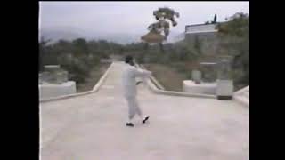 鄭天熊 太極圓拳 (第一段) CHENG Tin Hung Tai Chi Round Form (Part 1)