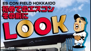 エスコンフィールド北海道へ！初めて行く人へ。超初級のご案内試合のない日はこんな感じ♬ ES CON FIELD Hokkaido