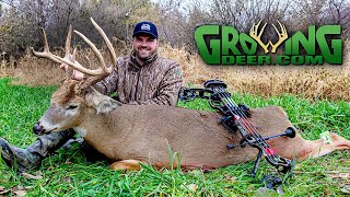 How To Kill a Big Buck on 9 Acres: Kansas Deer Hunting (526)