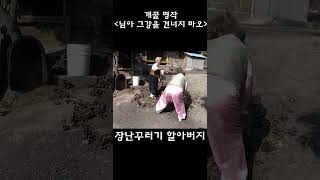 마당쓸다 장난이 치고 싶어진 할아버지 #명작영화 #장난꾸러기 #할아버지 #노부부