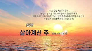 역곡동교회 23.02.05(주일) 오후 | 엘림 오케스트라 - 살아계신 주