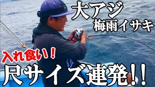 極太の尺アジがまさかの入れ食い連発！梅雨イサキを狙って【尺アジとイサキ】が釣れる夢のリレー船に乗ったら凄かった！←宴会付き