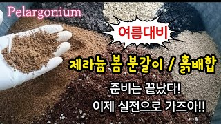 #pelargonium 여름대비  #제라늄 봄 분갈이 흙 배합 /  준비는 끝났다. 이제 실전으로 가즈아!! ~