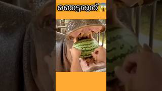 അയ്യോ ഇത് ഒന്നും കാണാതെ പോകരുത് 😱❗️gys #shorts #viral #trending