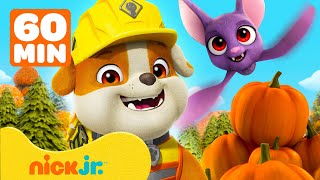 Rubble & Crew | Rubble feiert den Herbst! | mit Motor & Charger | 1 Stunde | Nick Jr. Deutschland