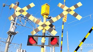 【 踏切アニメ 】怒りのふみきりカンカンは怖くて通れないけど良いお年を  train railway railroad crossing fumikiri