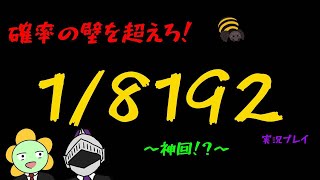 【神回】確率の壁を超えろ！1/8192【#小難逃避行】