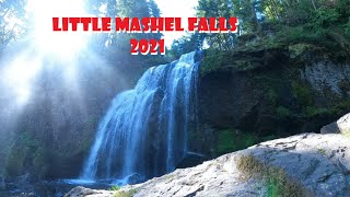 Little Mashel Falls 2021