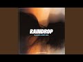 Raindrop