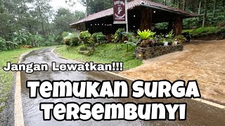 SURGA BAGI PENCINTA ALAM, KAFE KOPI DI TENGAH HUTAN