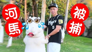 【vlog】河馬被捕！#何太生活語錄 #出街瞓 #直播 #何太生活語錄 #伍仔