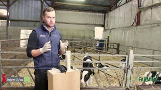 Managing Colostrum - Brilliant at the Basics