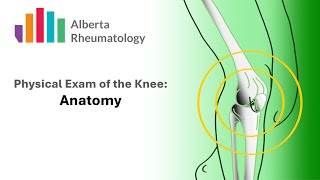 Rheumatology KNEE Exam Part 1: Anatomy