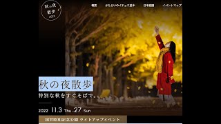 昭和記念公園の秋の夜散歩（イチョウ並木のライトアップ）