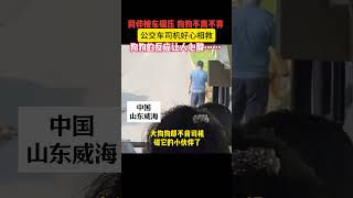 狗狗同伴去世，公家车司机想上前帮忙，狗狗坚持不让，样子好心酸。#dog #dogrescue #pets #animals