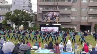 横浜隼人中学高等学校レクレーション部－湘南よさこい祭り２０１６