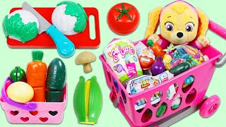 Paw Patrol Baby Skye Goes Grocery Shopping with Toy Cash Register and Shopping Cart Playset!
