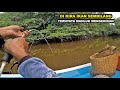 Mancing Ikan Sembilang