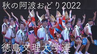 本場徳島阿波おどり・徳島文理大学連 Awaodori in Tokushima Japan 4K HDR